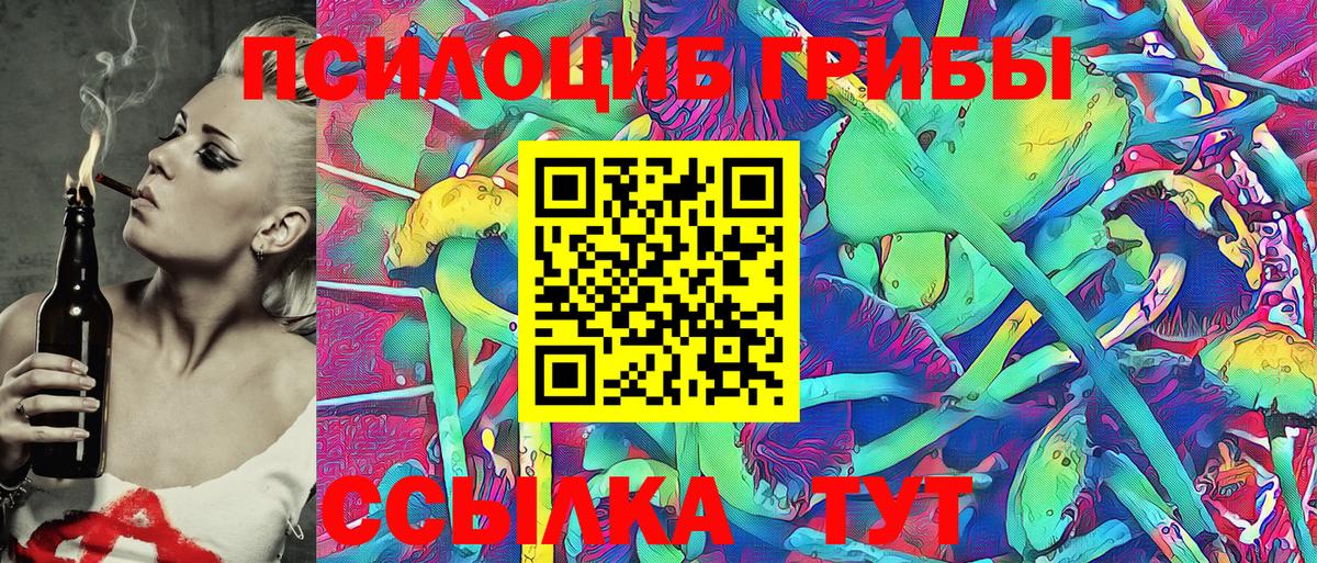 Глазов  Галлюциногенные грибы Cubensis  Вход с VPN 